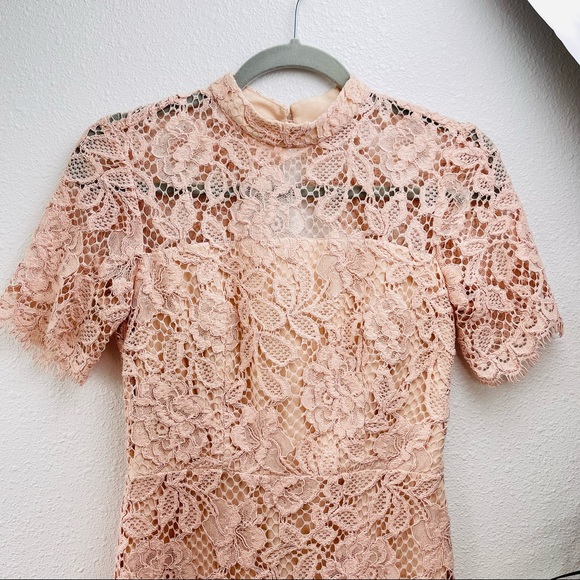 ALEXIS midi dress laced floral pink sheath bodycon nude formal wedding prom boho - Picture 10 of 14